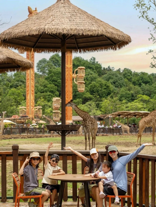 長頸鹿餐廳。圖片來源：小紅書@清遠長隆度假區