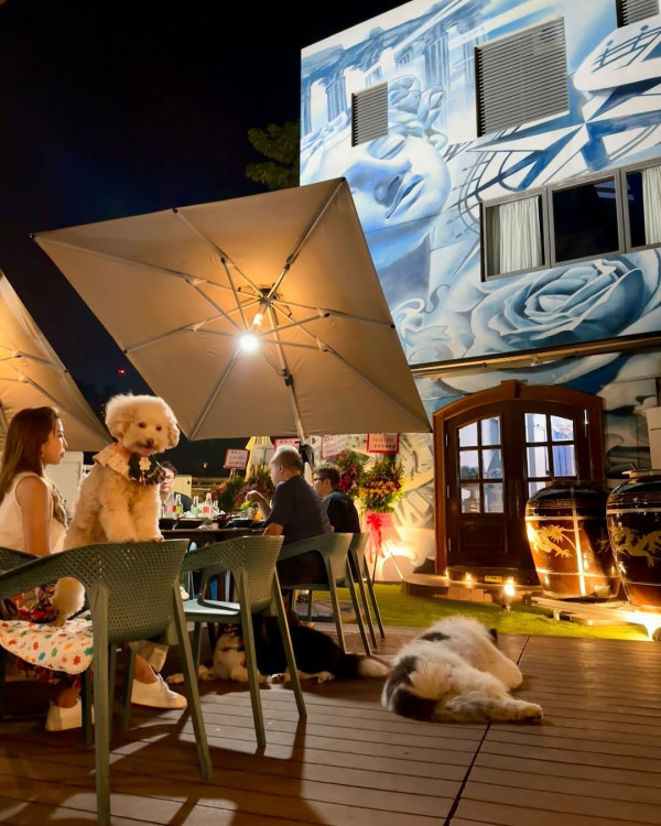 狗隻入食肆懶人包︱5.8起法例生效 3類食肆仍禁入＋狗主必讀3大守則（附寵物友善餐廳推介）