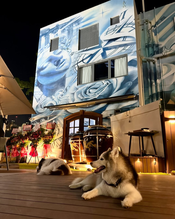 狗隻入食肆懶人包︱5.8起法例生效 3類食肆仍禁入＋狗主必讀3大守則（附寵物友善餐廳推介）