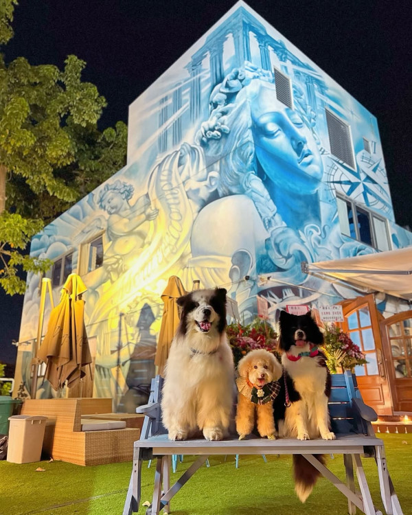 狗隻入食肆懶人包︱5.8起法例生效 3類食肆仍禁入＋狗主必讀3大守則（附寵物友善餐廳推介）