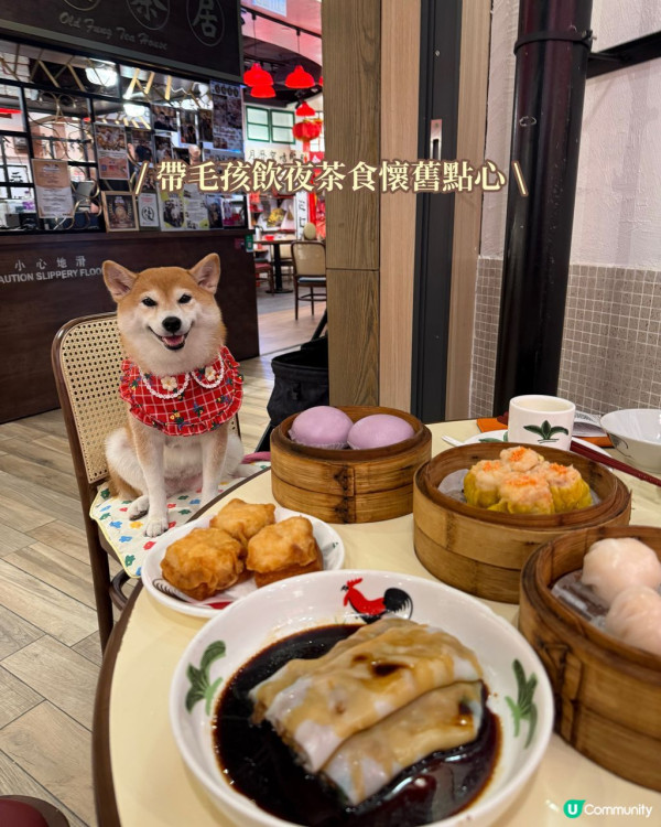 狗隻入食肆懶人包︱5.8起法例生效 3類食肆仍禁入＋狗主必讀3大守則（附寵物友善餐廳推介）