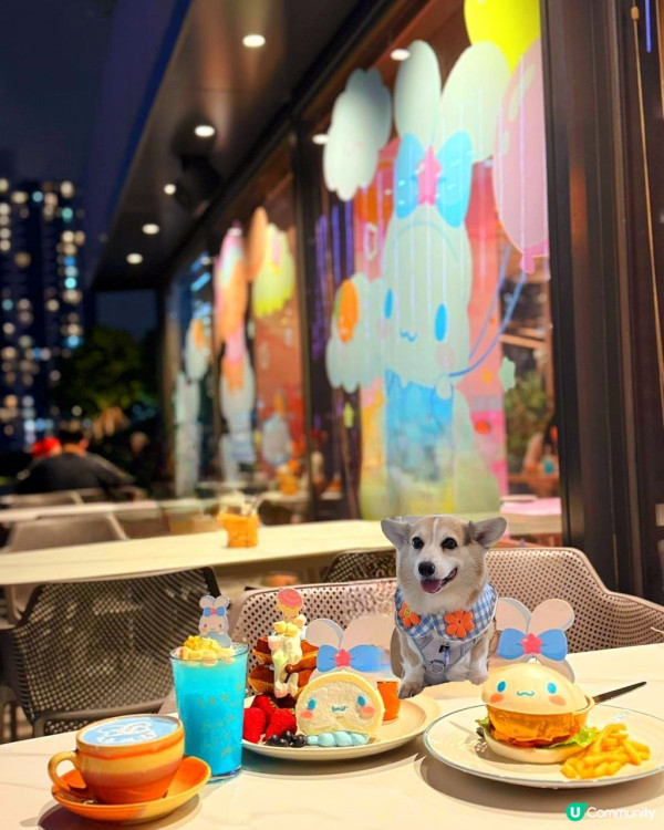 狗隻入食肆懶人包︱5.8起法例生效 3類食肆仍禁入＋狗主必讀3大守則（附寵物友善餐廳推介）