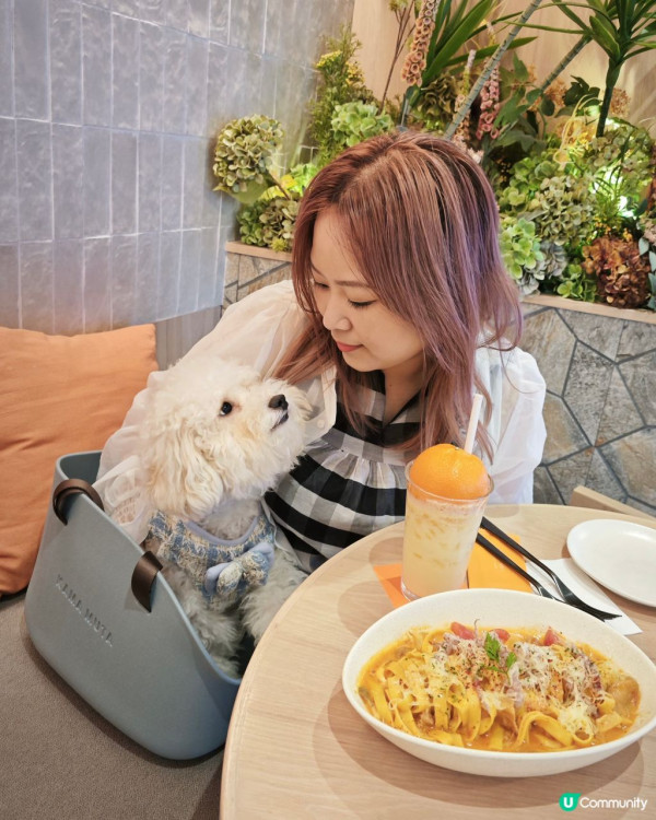 狗隻入食肆懶人包︱5.8起法例生效 3類食肆仍禁入＋狗主必讀3大守則（附寵物友善餐廳推介）