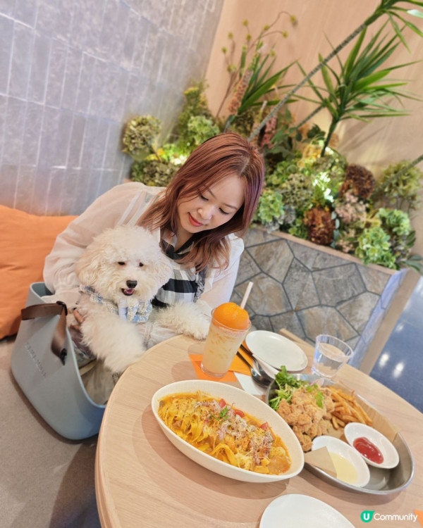 狗隻入食肆懶人包︱5.8起法例生效 3類食肆仍禁入＋狗主必讀3大守則（附寵物友善餐廳推介）