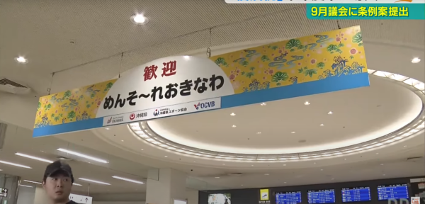 遊日注意！日本沖繩那霸市爆「蘋果病」病毒傳播力強暫無藥物可醫！孕婦感染恐流產 