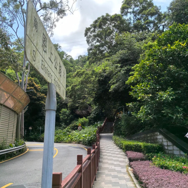 深圳鹽田恩上濕地公園(圖:小紅書) 深圳鹽田恩上濕地公園(圖:小紅書)