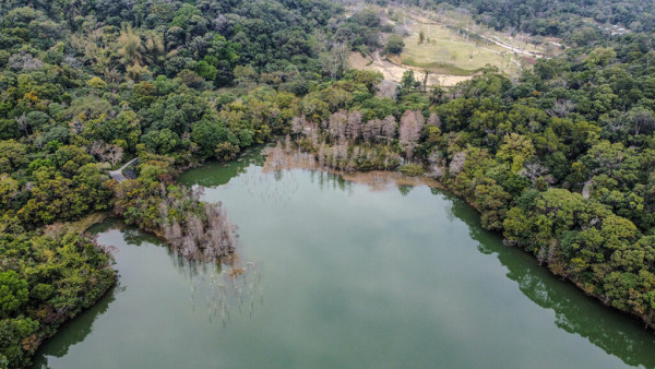 深圳鹽田恩上濕地公園(圖:小紅書) 深圳鹽田恩上濕地公園(圖:小紅書)
