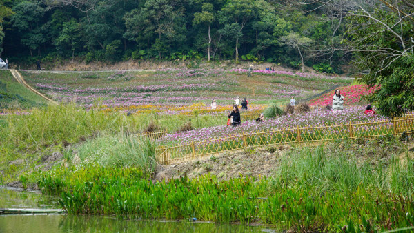 深圳鹽田恩上濕地公園(圖:小紅書) 深圳鹽田恩上濕地公園(圖:小紅書)