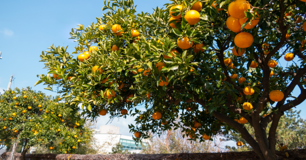 旅行不用等長假！Agoda揭亞洲微旅行熱點 2日1夜輕鬆玩大城市 