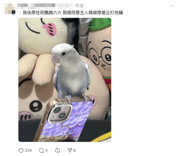 茶餐廳推「電話查詢」E餐 Omakase定盲盒餐 網民點出可能係呢啲食物...