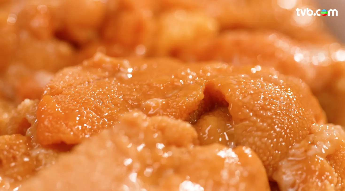 《解風東京2》每集景點行程介紹|必試美食/文青景點/特色酒店