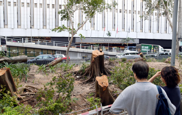 颱風樺加沙｜香港颱風信號歷史 2/5/6/7號風球有幾勁？天文台詳解淘汰原因