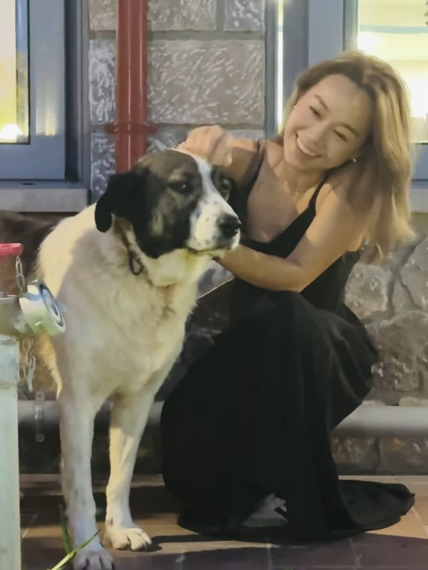 黃心穎避颱風夫妻出走希臘曬火辣泳衣照 咪神驕人身材重見天日驚艷網民
