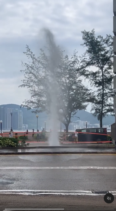 八達通推「隨意乘」超級通行證 免費搭港鐵巴士 跨境澳門內地都啱用