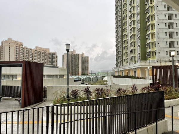 港人三派獲觀塘3人公屋！4大優點惹市民羨慕：猶如中六合彩