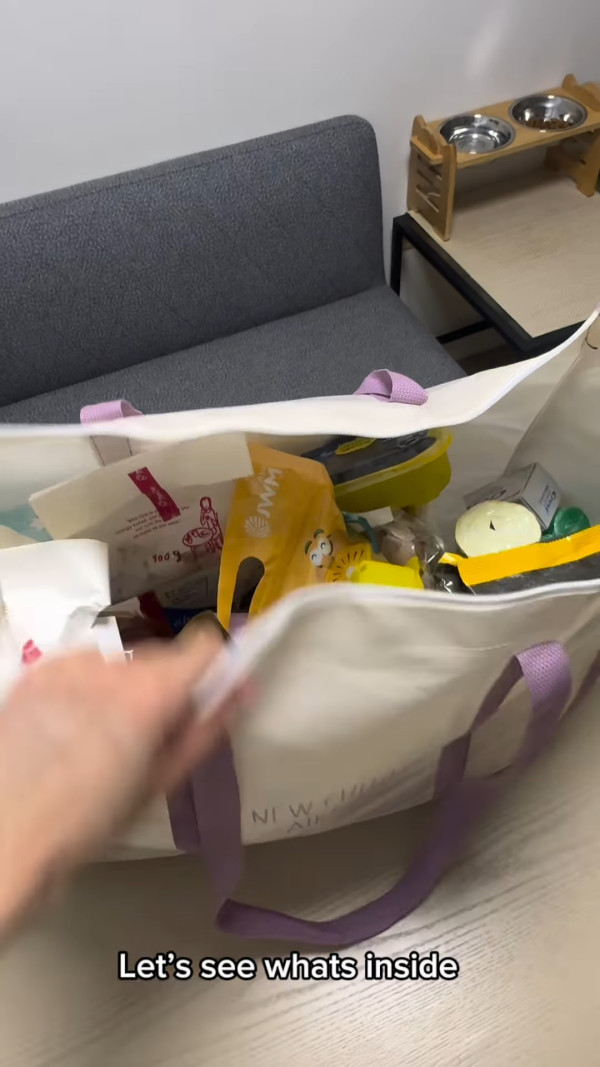 颱風樺加沙｜前港姐冠軍颱風下披頭散髮囤貨獨居 曾傳父女戀緋聞後星途沉寂