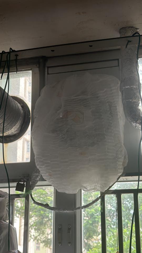 颱風樺加沙｜家居防風4大「黑點」！冷氣機恐成破口！專家教一招阻窗邊罅隙滲水