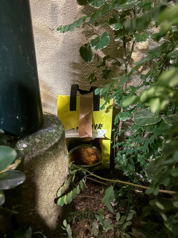  打風｜女子用 Keeta 剩餘物資救助流浪動物 網民大讚有愛心+公德心