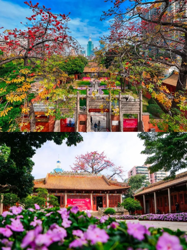 廣州必去古風景點「小故宮」農講所!三大打卡點推薦+古風攝影攻略