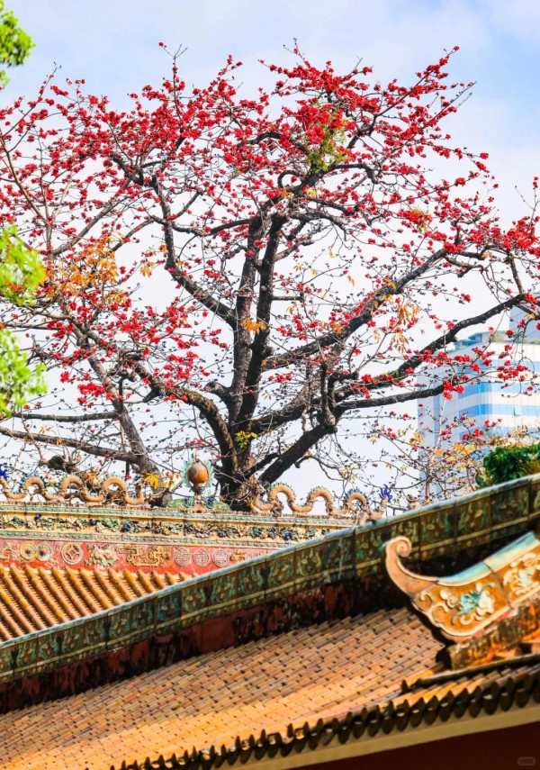 廣州必去古風景點「小故宮」農講所!三大打卡點推薦+古風攝影攻略