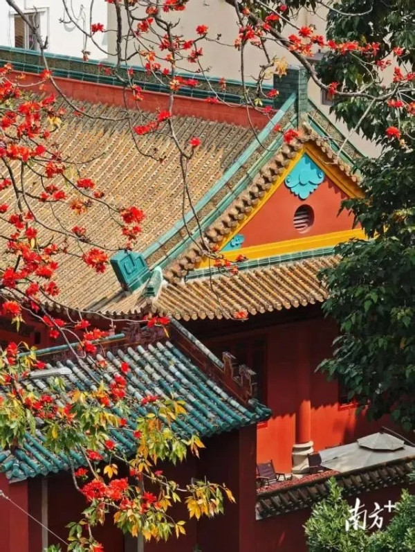 廣州必去古風景點「小故宮」農講所!三大打卡點推薦+古風攝影攻略