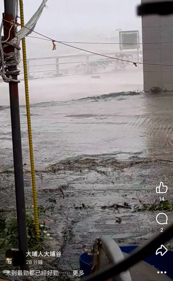 颱風樺加沙｜全港各區現恐怖風暴潮！長洲沙灘遭海水淹沒、貨櫃屋跌落海網喊似海嘯