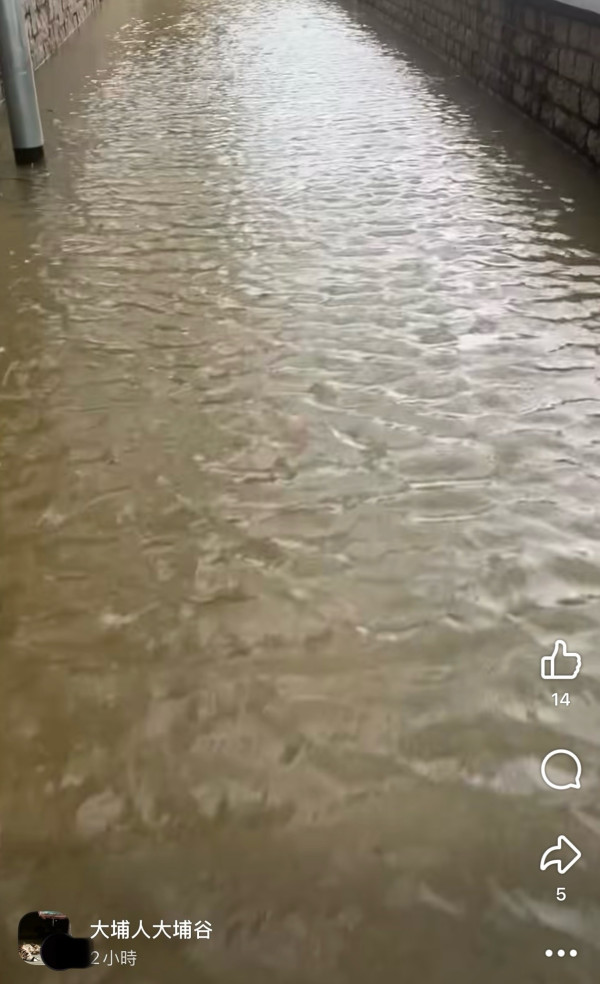 颱風樺加沙｜全港各區現恐怖風暴潮！長洲沙灘遭海水淹沒、貨櫃屋跌落海網喊似海嘯