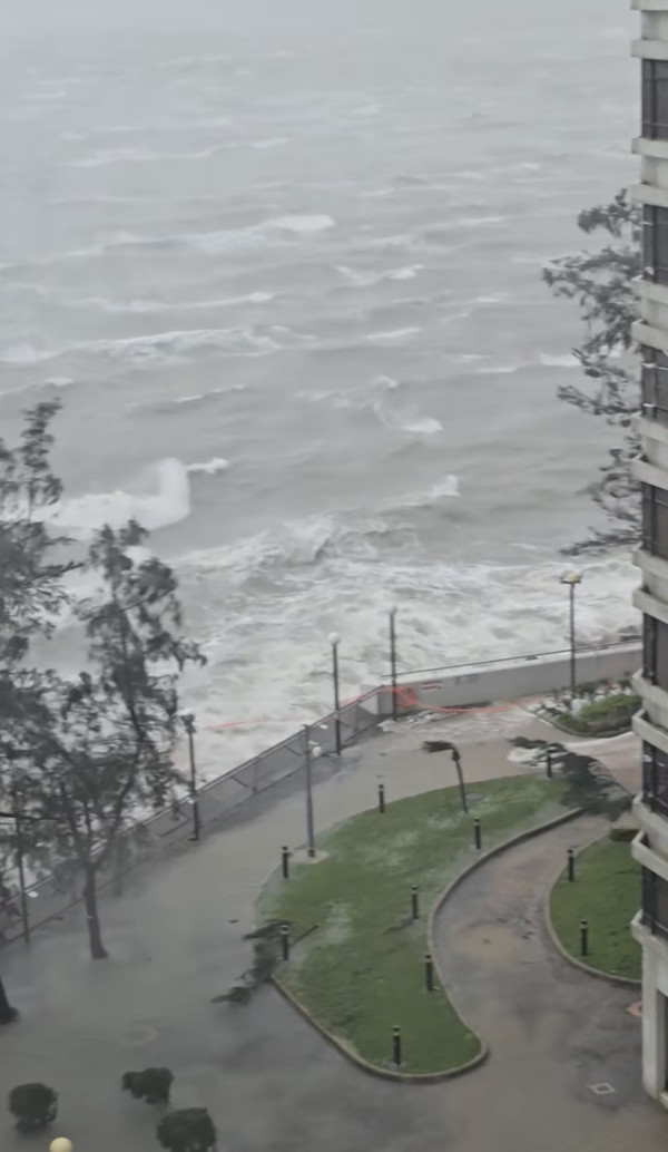 颱風樺加沙｜全港各區現恐怖風暴潮！長洲沙灘遭海水淹沒、貨櫃屋跌落海網喊似海嘯