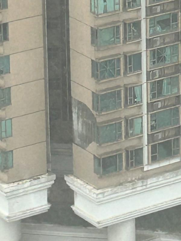 打風｜愛民邨巨樹不敵十號風球倒塌 逾50年樹齡 網民感可惜：啲根淺到…