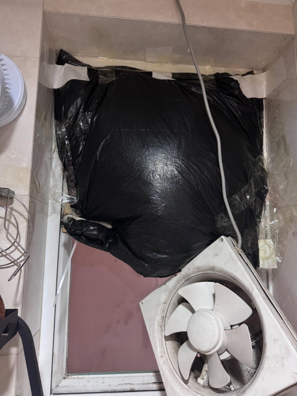 打風｜愛民邨巨樹不敵十號風球倒塌 逾50年樹齡 網民感可惜：啲根淺到…