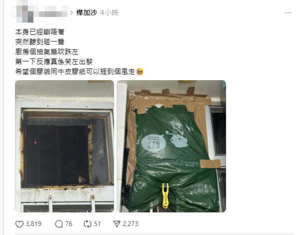 打風｜愛民邨巨樹不敵十號風球倒塌 逾50年樹齡 網民感可惜：啲根淺到…