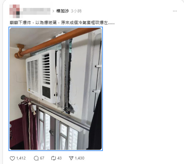 打風｜愛民邨巨樹不敵十號風球倒塌 逾50年樹齡 網民感可惜：啲根淺到…