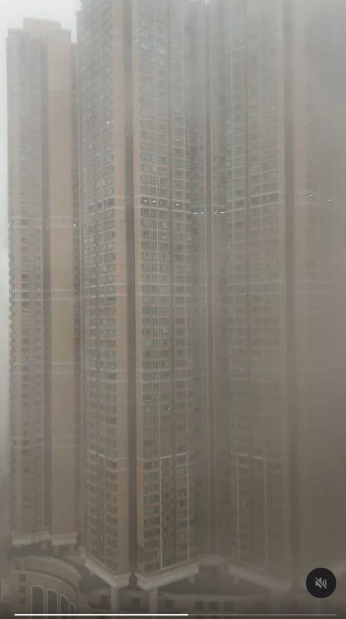 打風｜愛民邨巨樹不敵十號風球倒塌 逾50年樹齡 網民感可惜：啲根淺到…