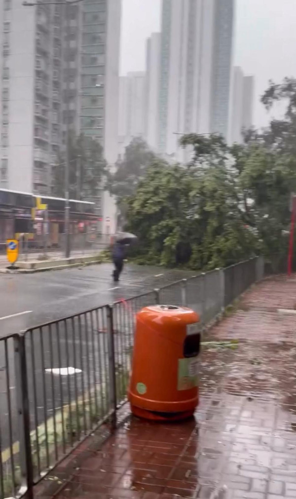 颱風樺加沙｜消防助居民撤離獲大讚！消防處罕頒「緊急消防訓令」 同全員緊急戒備有不同？