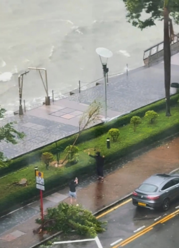 颱風樺加沙 多人無視風王近距離觀浪 網民怒：出事浪費公共資源