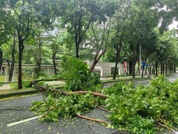 颱風樺加沙|深圳大梅沙海岸一度掀起數米巨浪 全市今日仍然實施五停