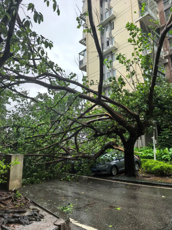 颱風樺加沙|深圳大梅沙海岸一度掀起數米巨浪 全市今日仍然實施五停