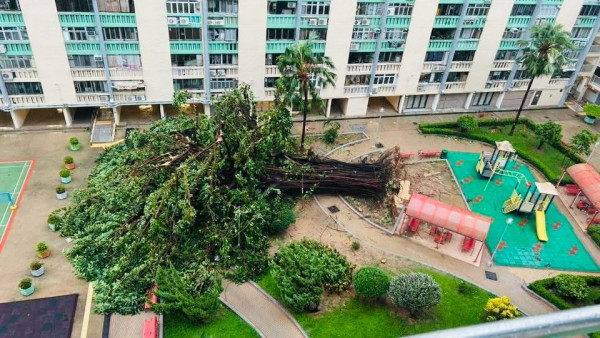 打風｜汀九四猛男風雨中漫步 造型出位超吸睛 網民齊估玩水定焗完桑拿