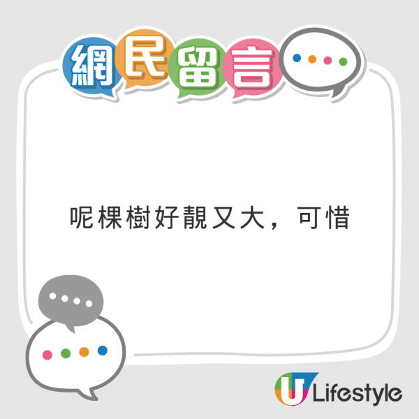 打風｜愛民邨巨樹不敵十號風球倒塌 逾50年樹齡 網民感可惜：啲根淺到…