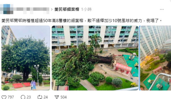 打風｜汀九四猛男風雨中漫步 造型出位超吸睛 網民齊估玩水定焗完桑拿