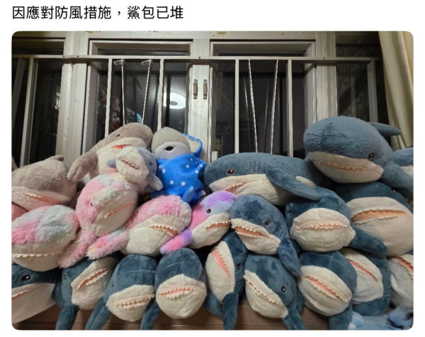 颱風樺加沙｜港人趣味兼實用防風措施 用尿片包好抽氣扇 窗邊堆滿可愛「鯊包」？