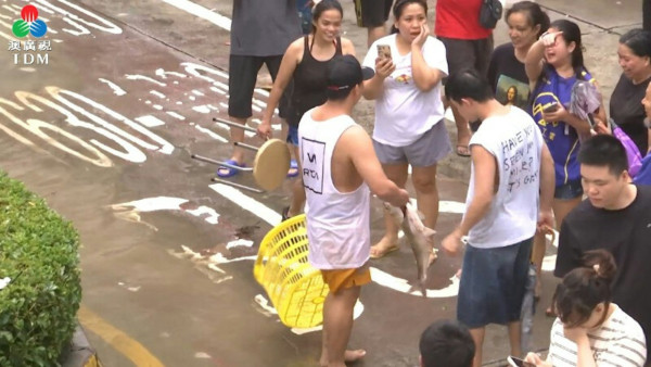颱風樺加沙｜澳門水浸大批市民街頭捉魚  留言：今晚有得加餸