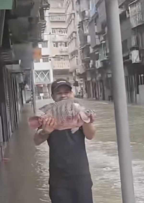 颱風樺加沙｜澳門水浸大批市民街頭捉魚  留言：今晚有得加餸