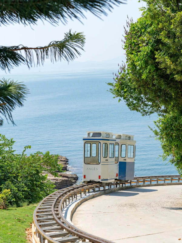 媲美釜山!深圳雲海山莊「膠囊火車」爆紅!把握最佳打卡時間位置