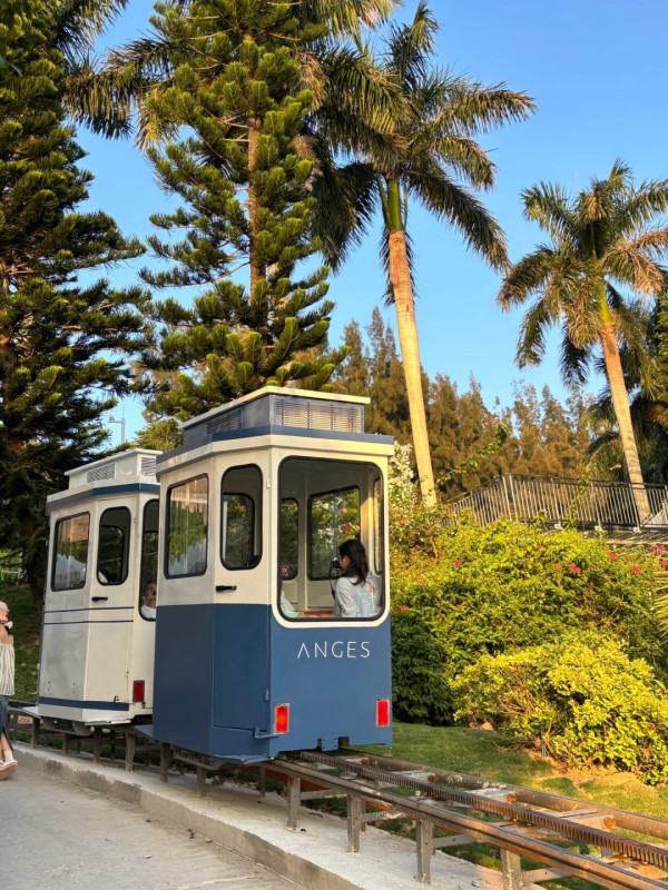 媲美釜山!深圳雲海山莊「膠囊火車」爆紅!把握最佳打卡時間位置