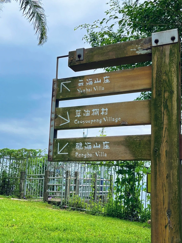 媲美釜山!深圳雲海山莊「膠囊火車」爆紅!把握最佳打卡時間位置