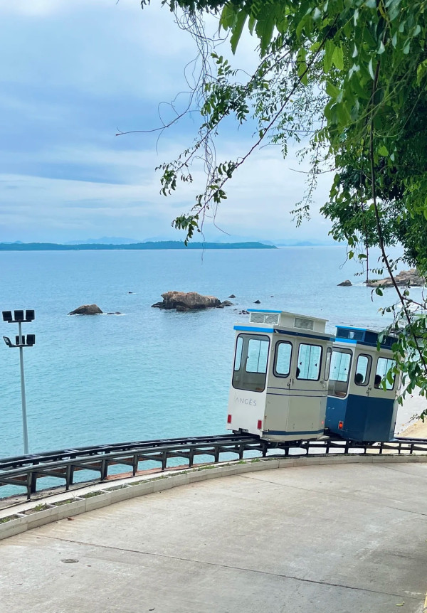 媲美釜山!深圳雲海山莊「膠囊火車」爆紅!把握最佳打卡時間位置