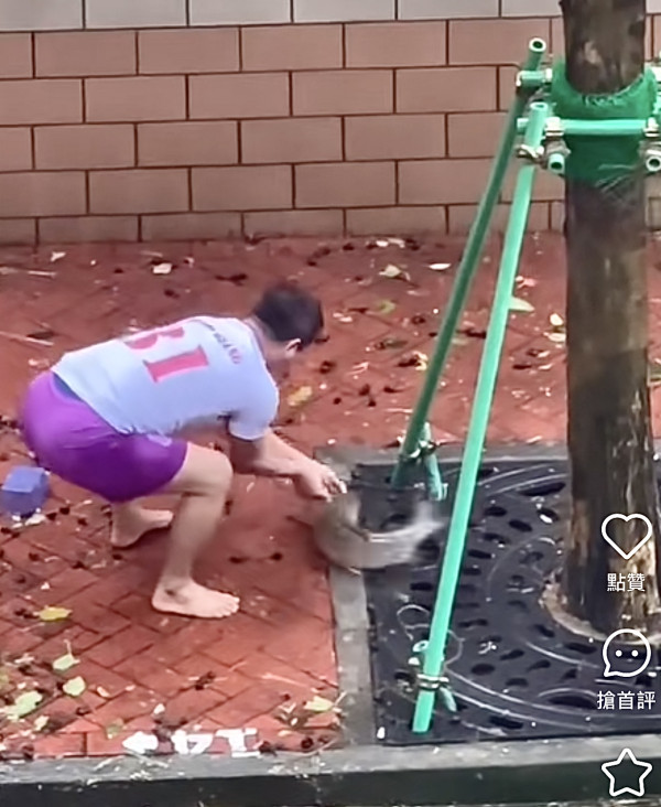 颱風樺加沙橫掃澳門海水倒灌街道變池塘  居民徒手捉大魚