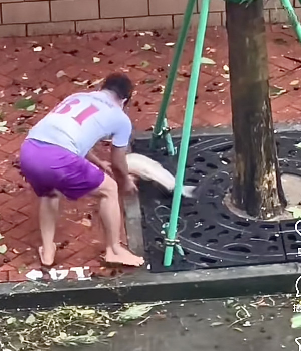 颱風樺加沙橫掃澳門海水倒灌街道變池塘  居民徒手捉大魚