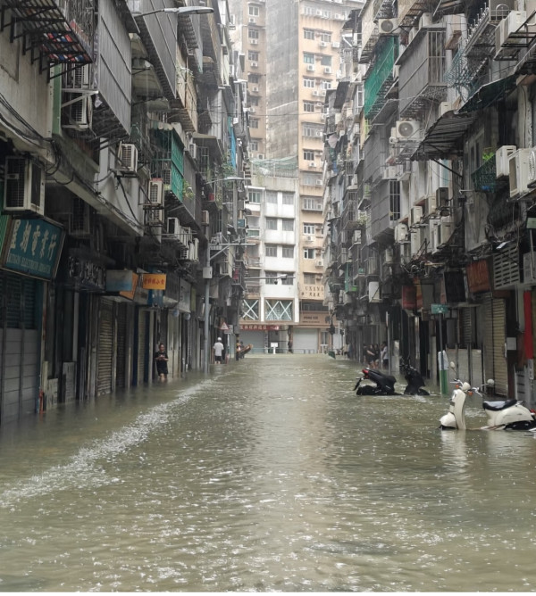 颱風樺加沙橫掃澳門海水倒灌街道變池塘  居民徒手捉大魚